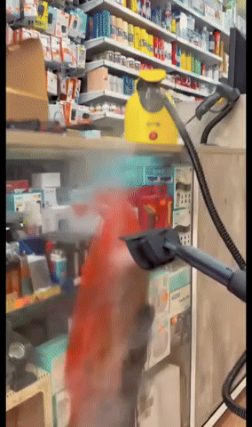 Aspiradora A Vapor Clean Pro